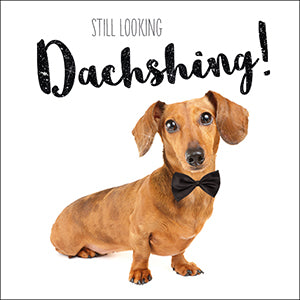 Dachshund Birthday card