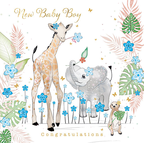 Baby Boy card