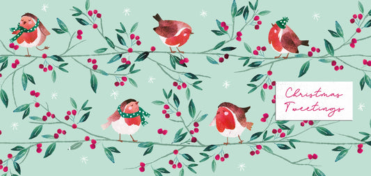 Robin money wallet