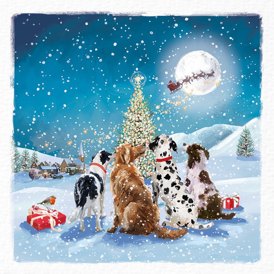 Have you been good cards, pack of 10